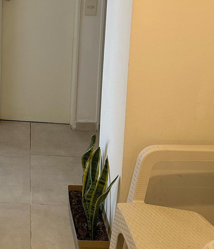 Pasillo de Samary con una planta y una silla de la sala de espera