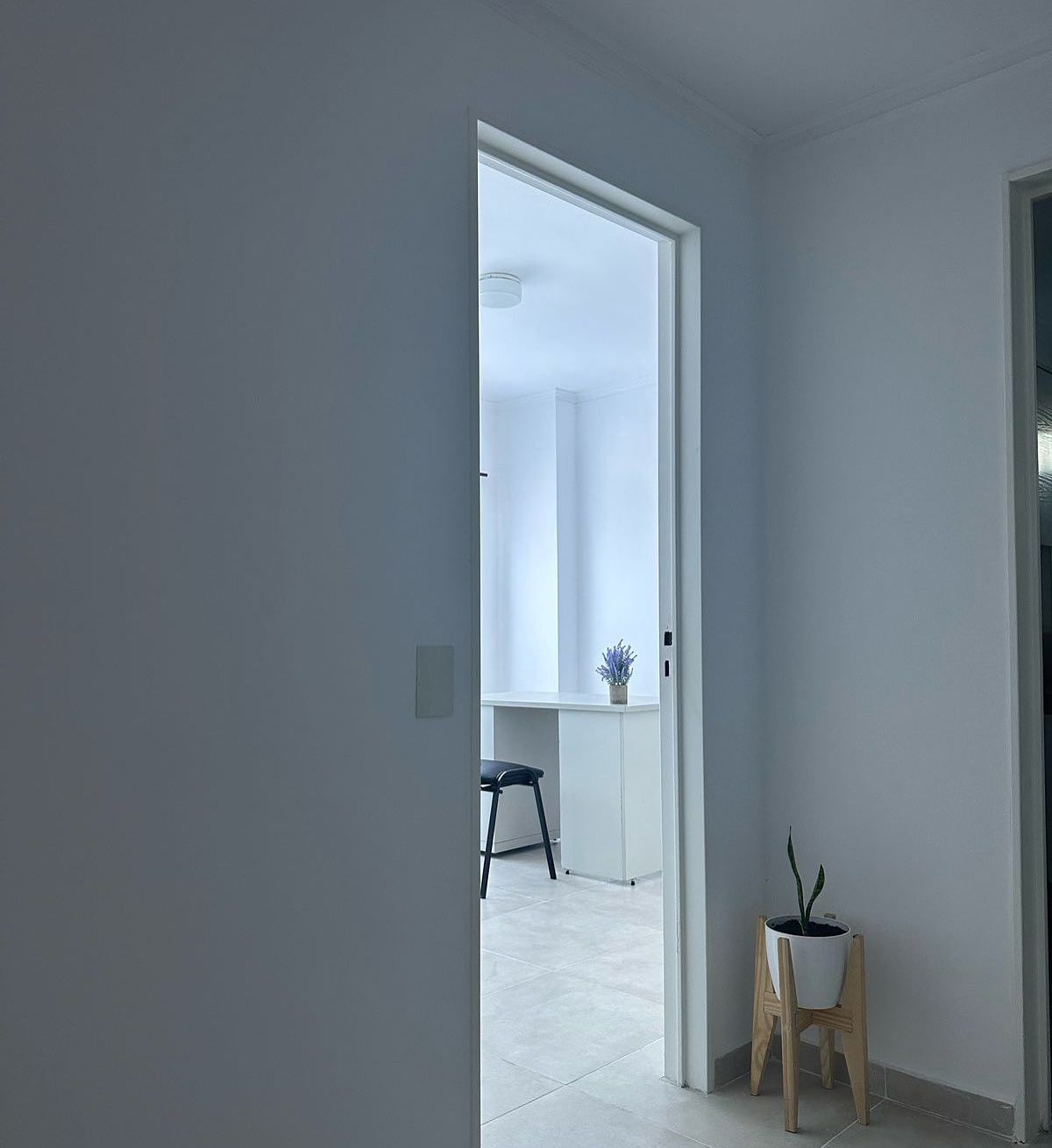 Pasillo de Samary con la puerta abierta a un consultorio luminoso, con escritorio blanco y una planta de lavanda